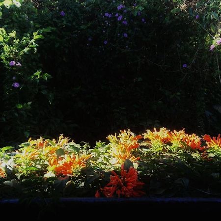 Dalat Inn Homestay Екстериор снимка