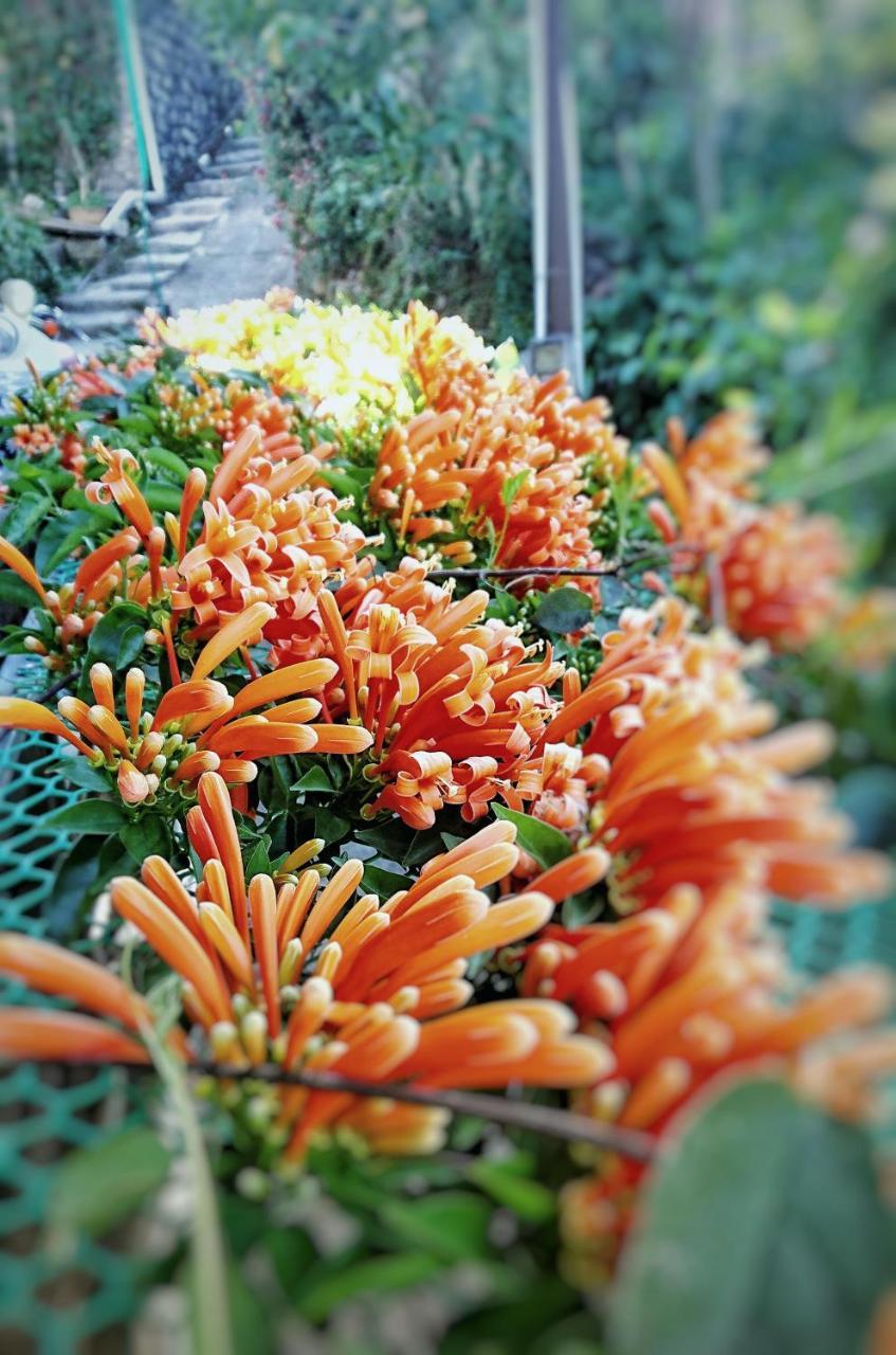 Dalat Inn Homestay Екстериор снимка