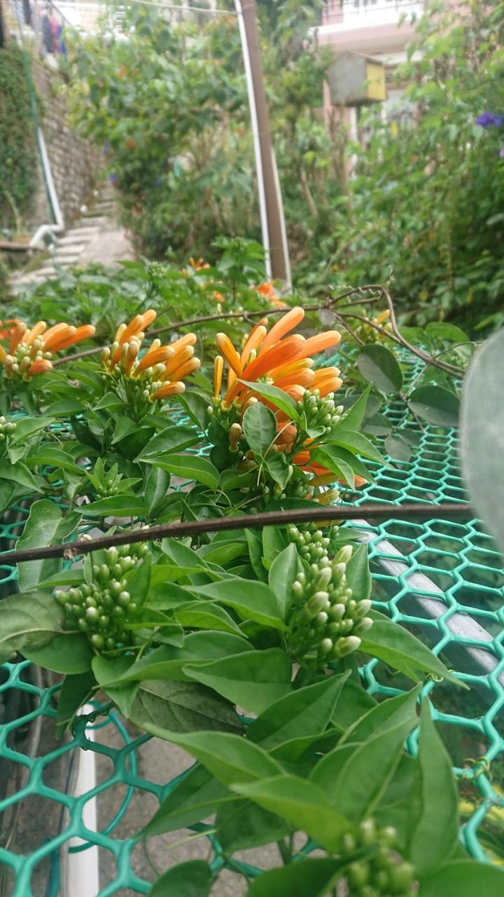 Dalat Inn Homestay Екстериор снимка