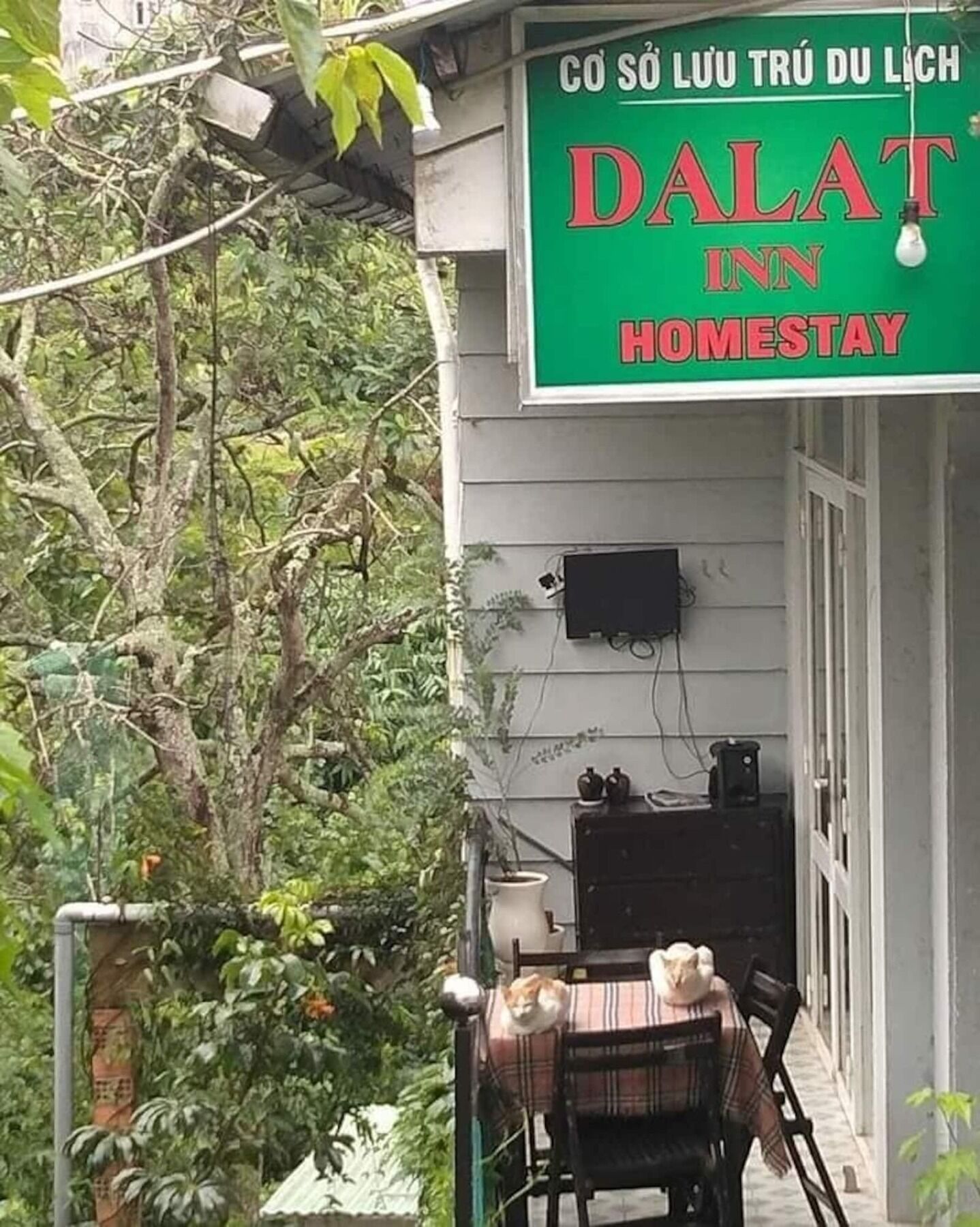 Dalat Inn Homestay Екстериор снимка